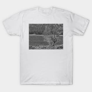 Forest Through The Trees - Black And White T-Shirt